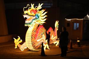 EGIPTO-CAIRO-FESTIVAL DE LINTERNAS