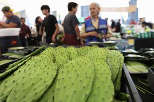 MEXICO-CIUDAD DE MEXICO-FERIA DEL NOPAL