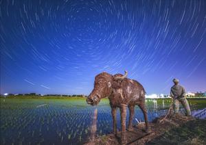 CHINA-HEILONGJIANG-CIELO ESTRELLADO-CAMPOS DE ARROZ