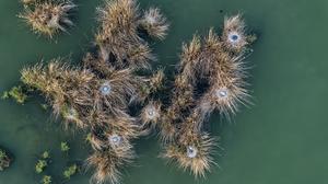 CHINA-NINGXIA-AREA ESCENICA DE SHAHU-PAISAJE