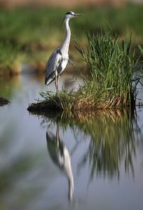 CHINA-NINGXIA-AREA ESCENICA DE SHAHU-PAISAJE