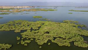 CHINA-NINGXIA-AREA ESCENICA DE SHAHU-PAISAJE