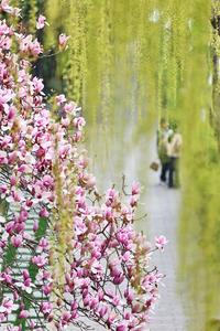 CHINA-PRIMAVERA-PAISAJE