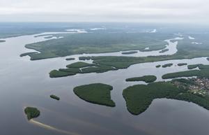 BRASIL-PARANA-PROYECTO DE CONSERVACION DE LA BIODIVERSIDAD