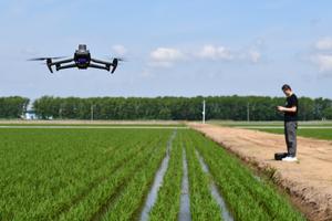 CHINA-HEILONGJIANG-AGRICULTURA MODERNA
