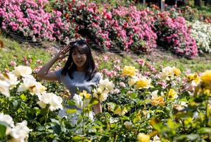 REPUBLICA DE COREA-SEUL-FESTIVAL DE LAS ROSAS