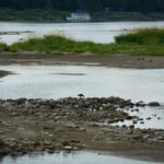 POLONIA-VARSOVIA-RIO VISTULA-NIVEL DEL AGUA-MINIMO HISTORICO