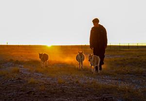 CHINA-XIZANG-RESERVA NATURAL NACIONAL DE CHANGTANG-OFICIALES DE CONSERVACION DE LA FAUNA SILVESTRE