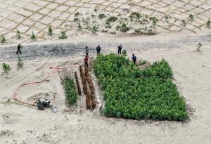 CHINA-MONGOLIA INTERIOR-HORQIN-CONTROL DE ARENA
