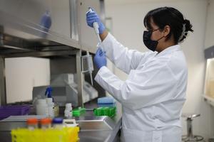 MEXICO-CIUDAD DE MEXICO-BANCO GENETICO