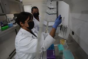 MEXICO-CIUDAD DE MEXICO-BANCO GENETICO