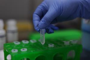 MEXICO-CIUDAD DE MEXICO-BANCO GENETICO