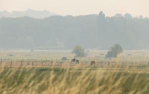FRANCIA-SENA Y MARNE-FONTAINEBLEAU-INCENDIO FORESTAL