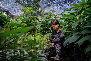 CHINA-YUNNAN-XISHUANGBANNA-RESERVA NATURAL NACIONAL