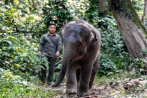 CHINA-YUNNAN-XISHUANGBANNA-RESERVA NATURAL NACIONAL