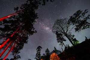 SRI LANKA-MASKELIYA-VIA LACTEA