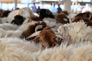 KUWAIT-GOBERNACION CAPITAL-EID AL-ADHA-MERCADO
