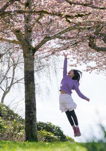 CANADA-VANCOUVER-FLORES DE CEREZO