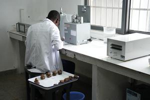 COTE-D'IVOIRE-CHINA-POLITICA DE ARANCEL CERO-CAUCHO