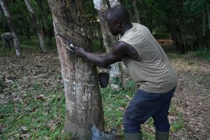 COTE-D'IVOIRE-CHINA-POLITICA DE ARANCEL CERO-CAUCHO