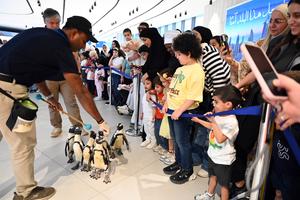 KUWAIT-GOBERNACION DE HAWALLI-PASEO CON PINGÜINOS