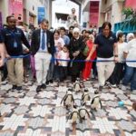KUWAIT-GOBERNACION DE HAWALLI-PASEO CON PINGÜINOS