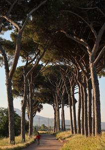 ITALIA-ROMA-VIA APIA-ACUEDUCTOS