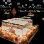 REPUBLICA DE COREA-SEUL-ACUARIO LOTTE WORLD-EXPOSICION