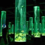 REPUBLICA DE COREA-SEUL-ACUARIO LOTTE WORLD-EXPOSICION