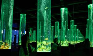 REPUBLICA DE COREA-SEUL-ACUARIO LOTTE WORLD-EXPOSICION