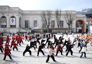 AUSTRIA-VIENA-DIA INTERNACIONAL DEL TAIJIQUAN