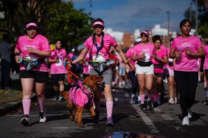 COLOMBIA-BOGOTA-CARRERA DE LAS ROSAS