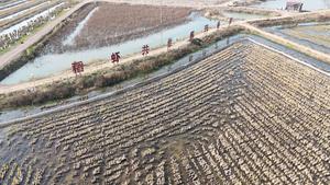 CHINA-JIANGSU-XUYI-CANGREJO DE RIO-INDUSTRIA