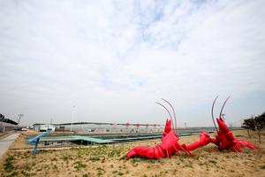 CHINA-JIANGSU-XUYI-CANGREJO DE RIO-INDUSTRIA