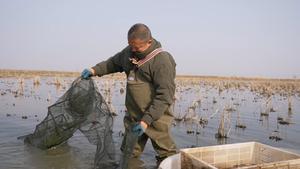 CHINA-JIANGSU-XUYI-CANGREJO DE RIO-INDUSTRIA