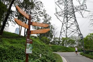 CHINA-GUANGDONG-SHENZHEN-SENDEROS ECOLOGICOS