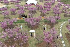 CHINA-PRIMAVERA-PAISAJE-TURISMO