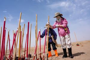 CHINA-MINQIN-VOLUNTARIOS-CONTROL DE LA DESERTIFICACION