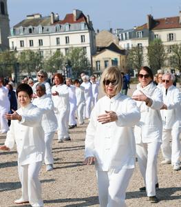 FRANCIA-SAINT-GERMAIN-EN-LAYE-DIA INTERNACIONAL DEL TAIJIQUAN