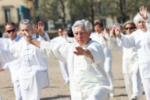 FRANCIA-SAINT-GERMAIN-EN-LAYE-DIA INTERNACIONAL DEL TAIJIQUAN