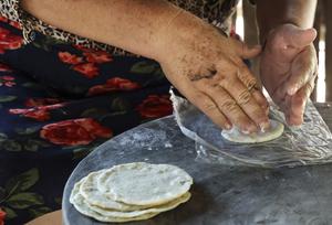MEXICO-YUCATAN-PROYECTO COMUNITARIO-PUEBLO MAYA