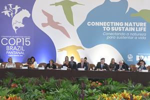 BRASIL-MATO GROSSO DO SUL-COP15-REUNION DE ALTO NIVEL