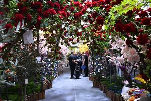 CHINA-GUANGDONG-GUANGZHOU-139 FERIA DE CANTON-SEGUNDA FASE