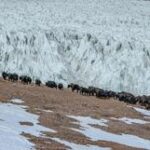 CHINA-XIZANG-GLACIAR ZANGSER KANGRI-DIA MUNDIAL DE LOS GLACIARES