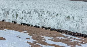 CHINA-XIZANG-GLACIAR ZANGSER KANGRI-DIA MUNDIAL DE LOS GLACIARES