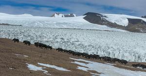 CHINA-XIZANG-GLACIAR ZANGSER KANGRI-DIA MUNDIAL DE LOS GLACIARES