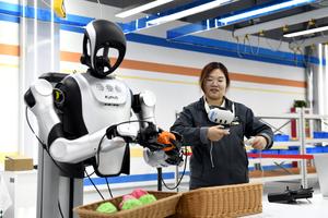 CHINA-SHANDONG-IA INTEGRADA-INSTRUCTOR