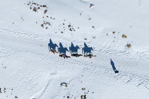 CHINA-FIESTA DE LA PRIMAVERA-CULTURA Y TURISMO-CONSUMO
