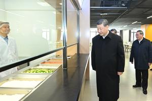 CHINA-HEBEI-XIONG'AN-XI JINPING-INSPECCION