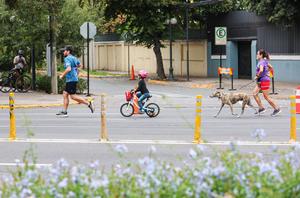 CHILE-SANTIAGO-DOMINGO SIN AUTOMOVILES